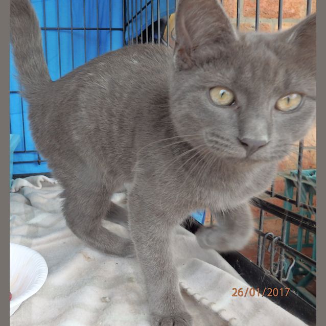 Photo of The Blues Brothers