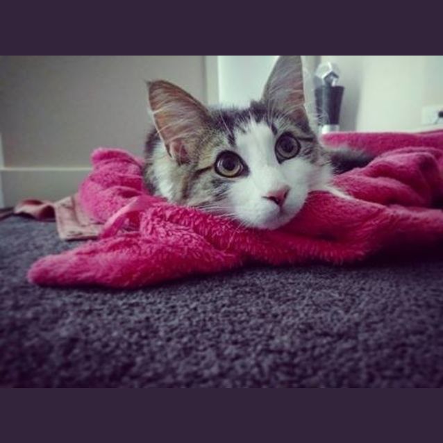 Photo of Marv