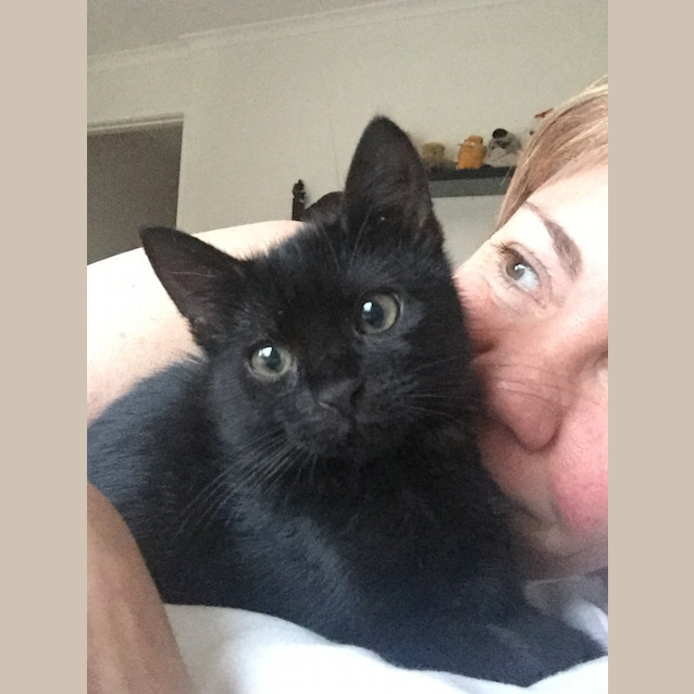 Photo of Boo 😻  Our Animated Uncoordinated Kitten