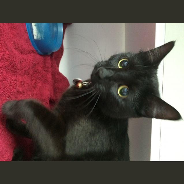 Photo of Isabella