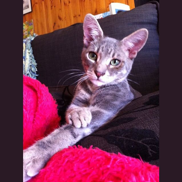 Photo of Jeffrey
