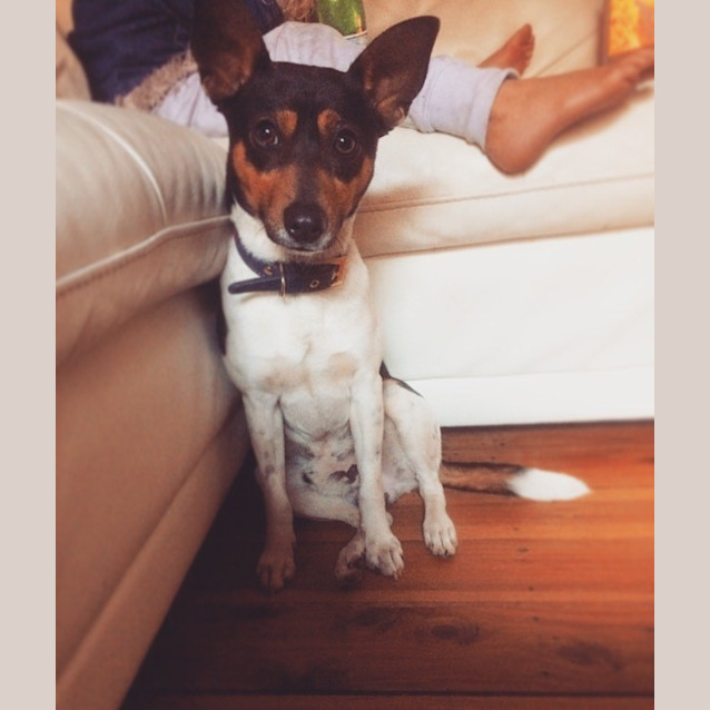 Photo of Freddie **Always Happy**