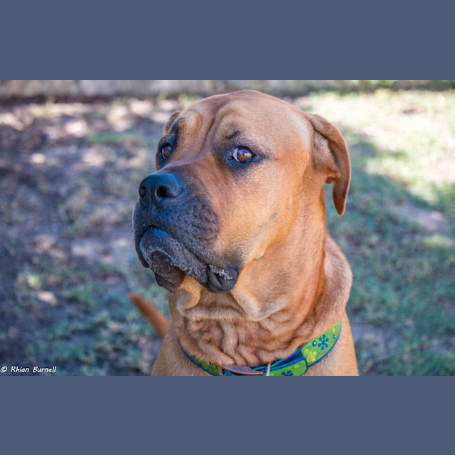 Photo of Roxanne Dl1142