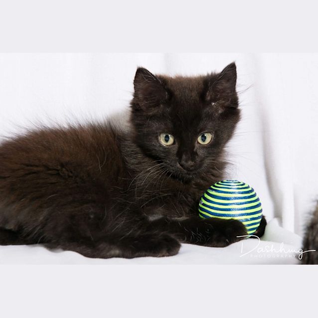 Photo of Cadbury 