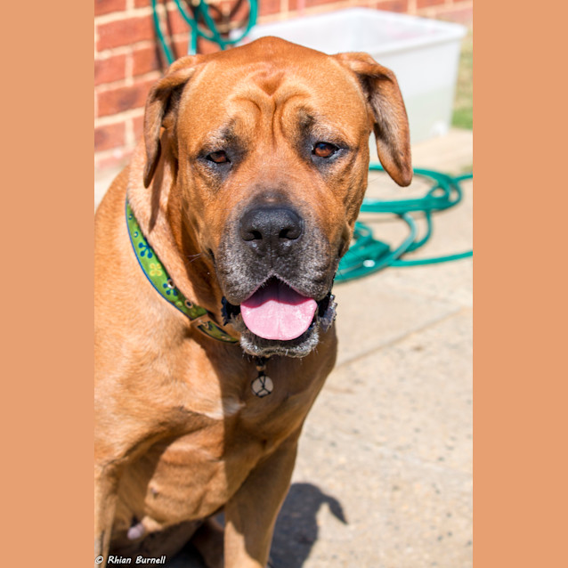 Photo of Roxanne Dl1142