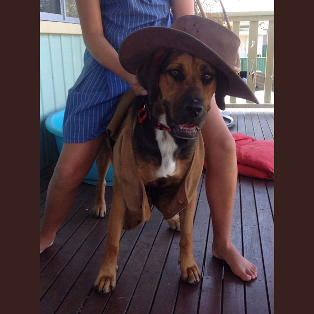 Photo of Callie
