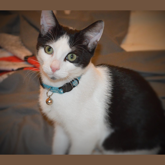 Photo of The Clawsome Nardo! 