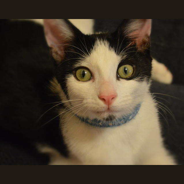 Photo of The Clawsome Nardo! 