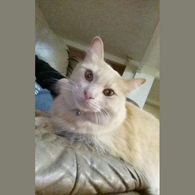 Photo of Phoenix