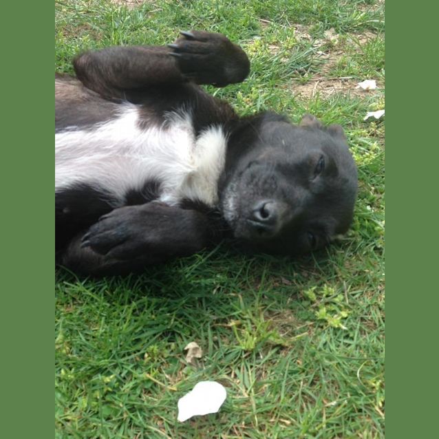 Photo of Tess