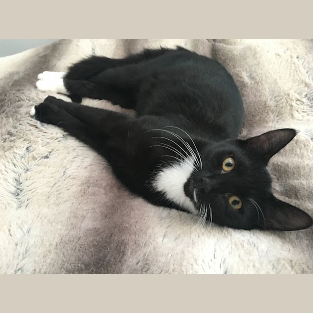 Photo of Hansel & Gretel