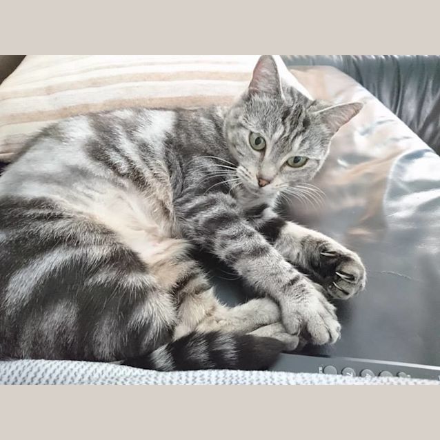 Photo of Annabella   (519)