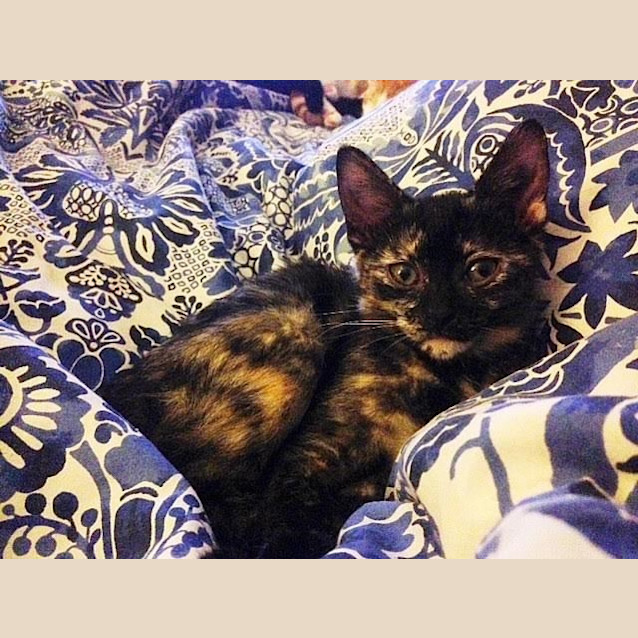 Photo of Emi