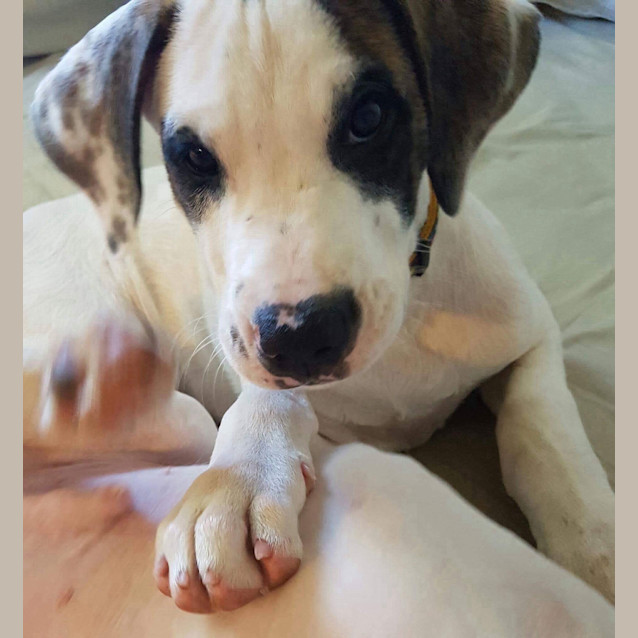 Photo of Jessie