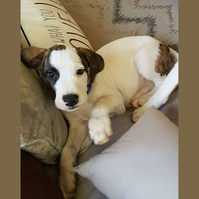 Photo of Jasper