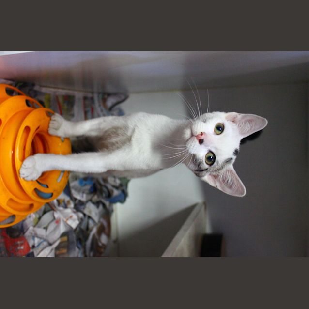 Photo of Jasper