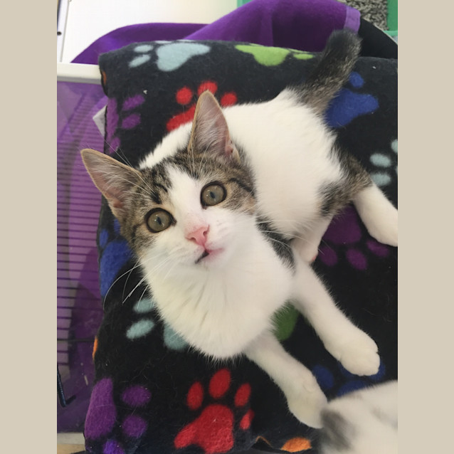 Photo of Beautiful Siblings Charlie & Lola