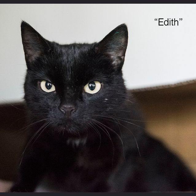 Photo of Edith Id34105