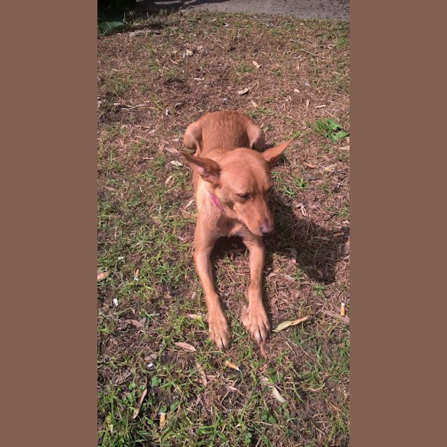 Photo of Narla