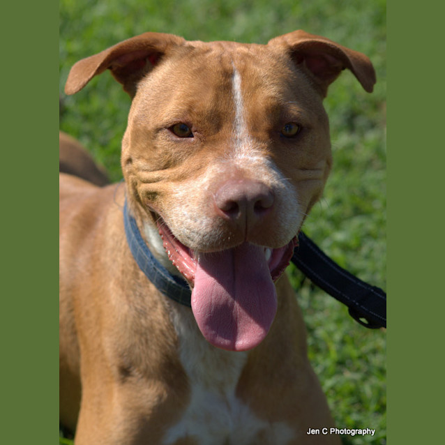 Photo of Bear ** A Love Bug **