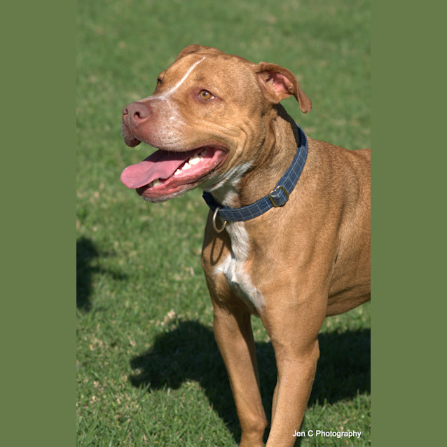 Photo of Bear ** A Love Bug **