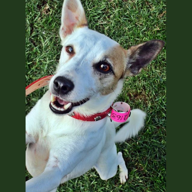 Photo of Snowy