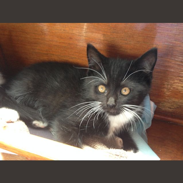 Photo of Mr Smooches