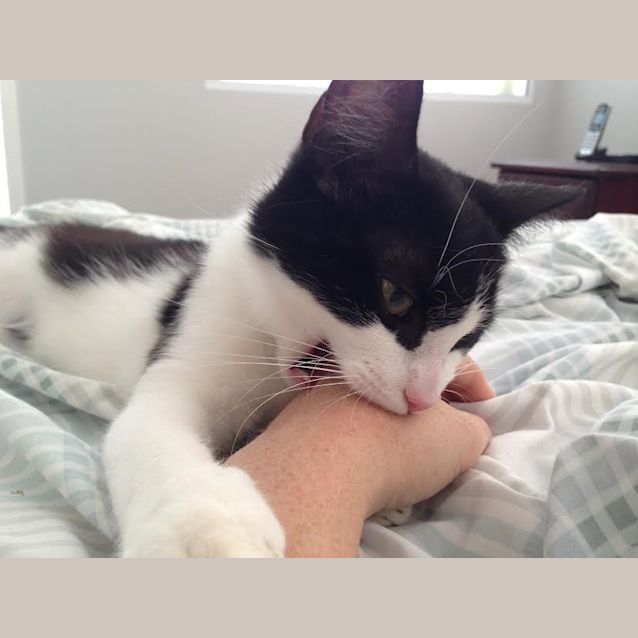 Photo of Fifi