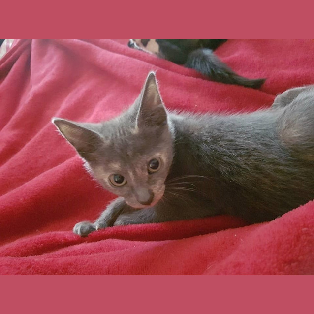 Photo of Queeny