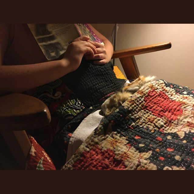 Photo of Ginger & Iggie 