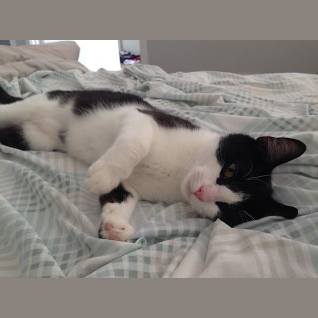Photo of Fifi