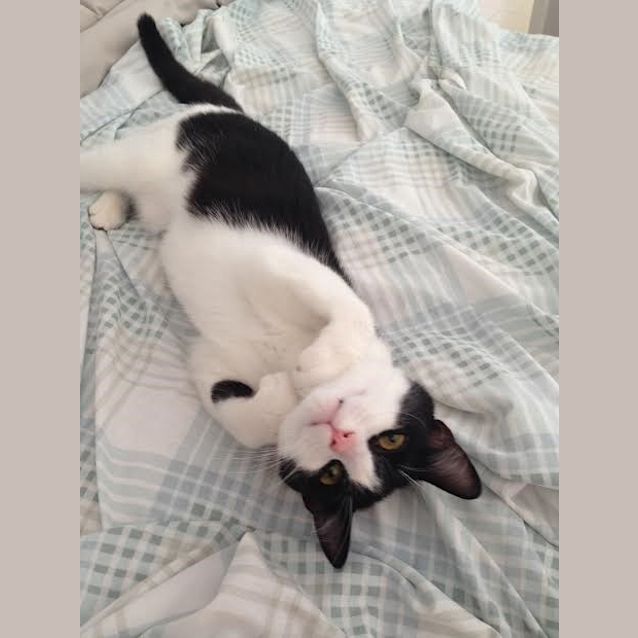 Photo of Fifi