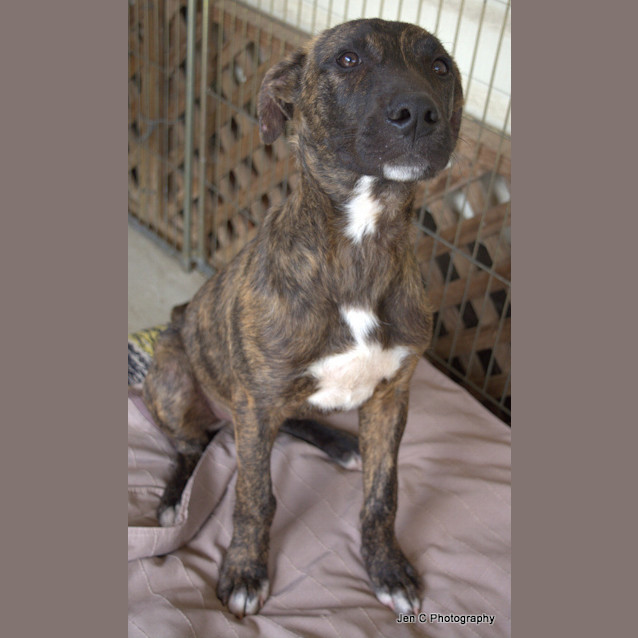 Photo of Casey ** A Total Lovebug **