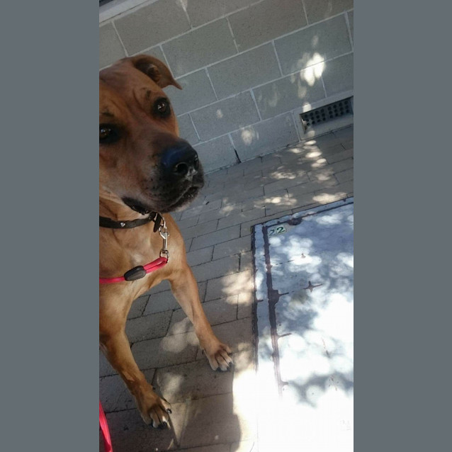 Photo of Asha Dl1586