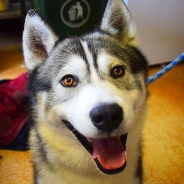 Photo of Storm