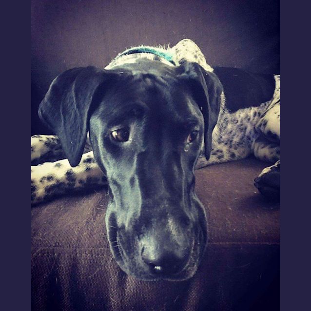 Photo of Mollie
