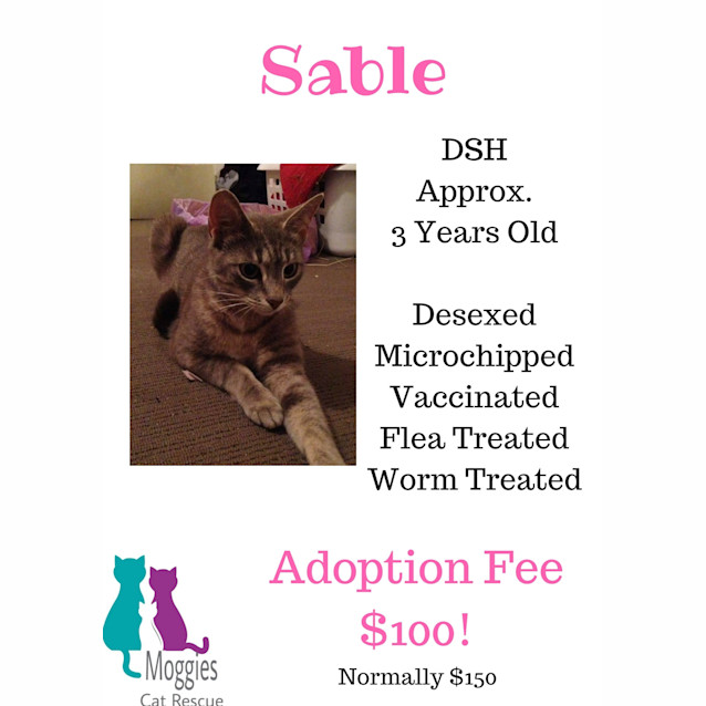 Photo of Sable