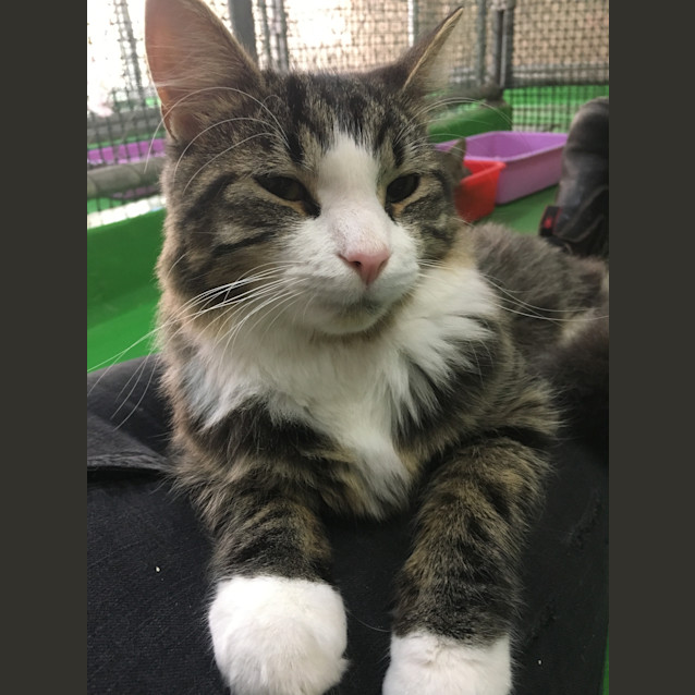 Photo of Monty Id35644
