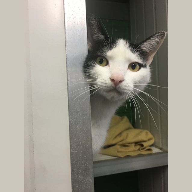Photo of Eddy Id35709