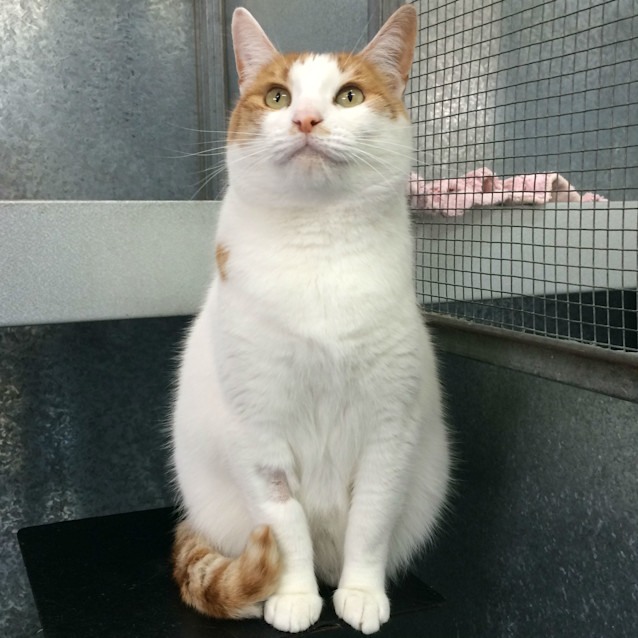 Photo of Freda