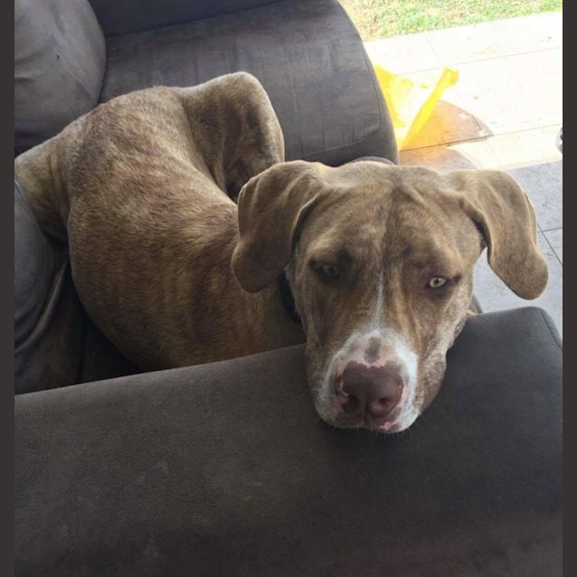 Photo of Jessie