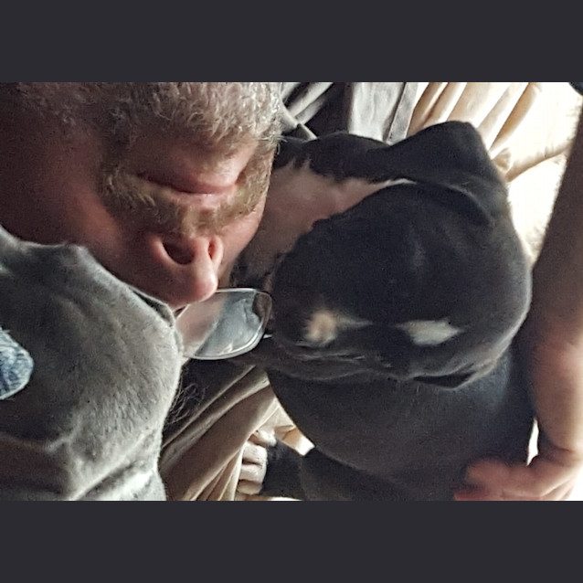 Photo of Xena (Adoption Pending)