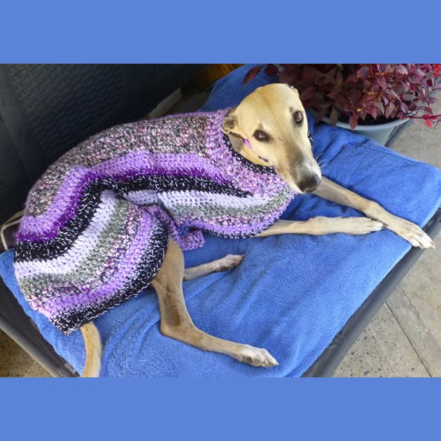 Photo of Candy
