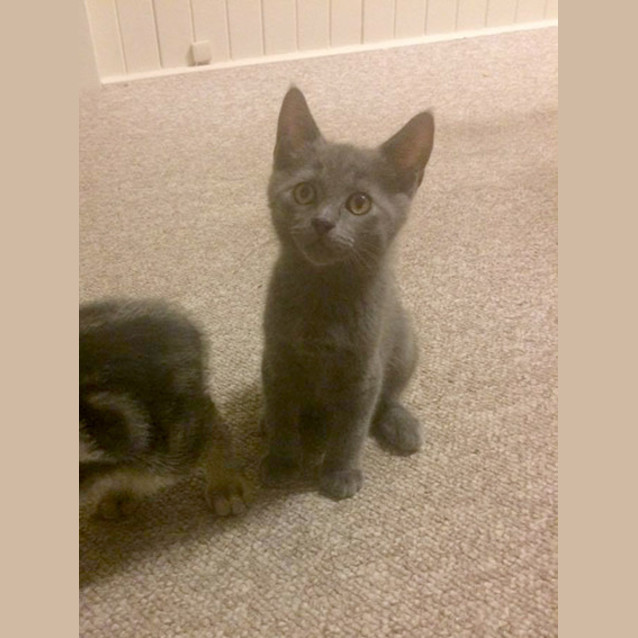 Photo of Storm