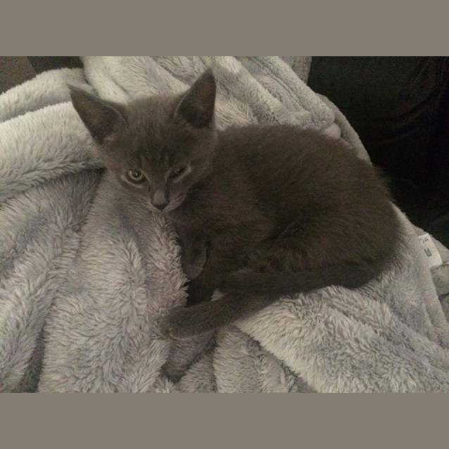 Photo of Storm