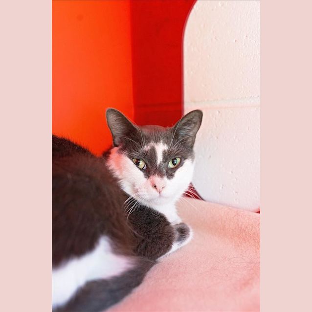 Photo of Lil One