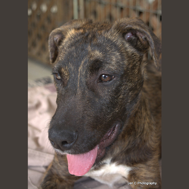 Photo of Casey ** A Total Lovebug **