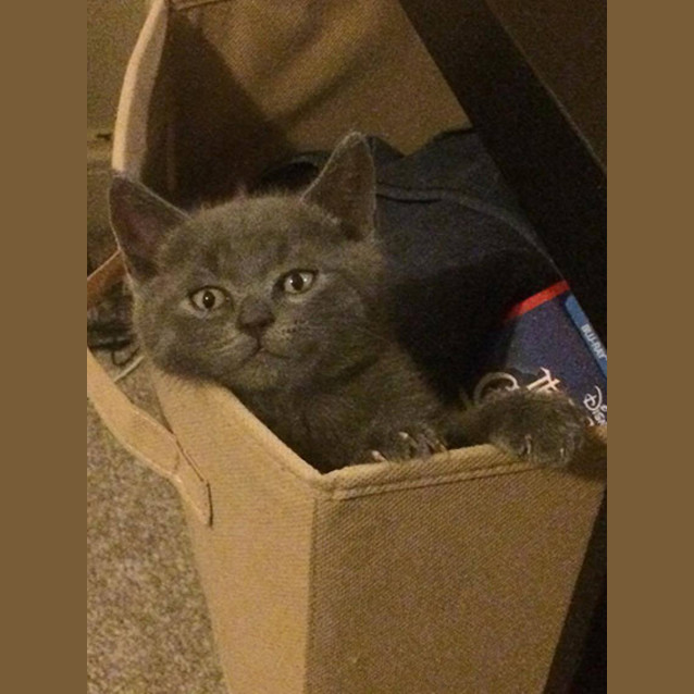 Photo of Storm