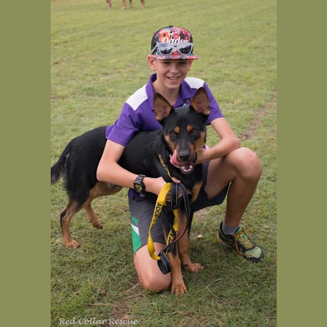 Photo of Jeff (Adoption Pending)