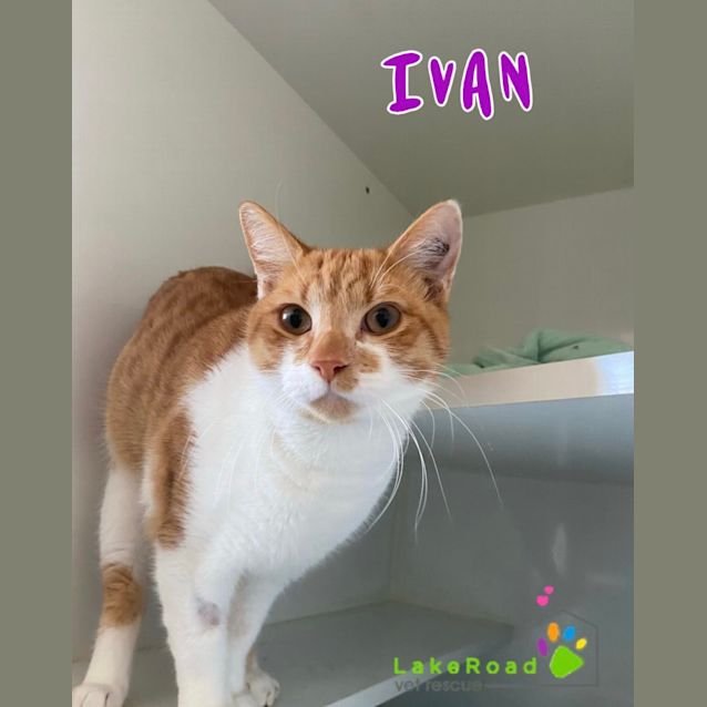 Photo of Ivan